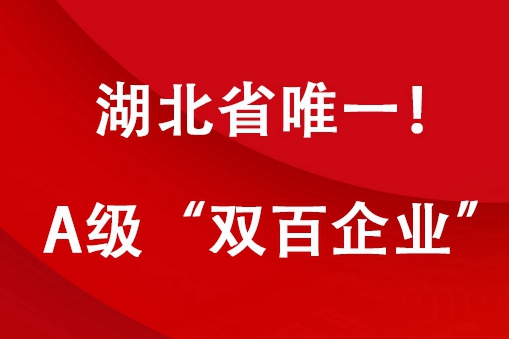 5fe141650c3e3 铂莱国际(柬埔寨)官方网站